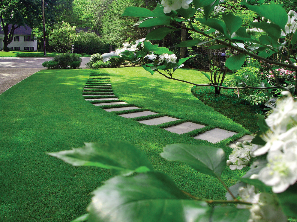 Inspiration för moderna formella trädgårdar i delvis sol framför huset på sommaren, med naturstensplattor
