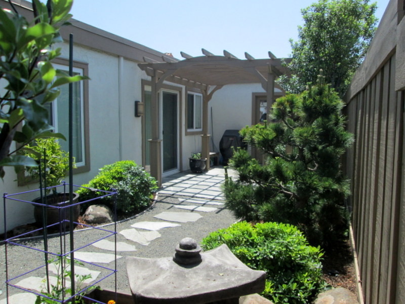 Small world-inspired back partial sun garden for autumn in San Francisco with natural stone paving.