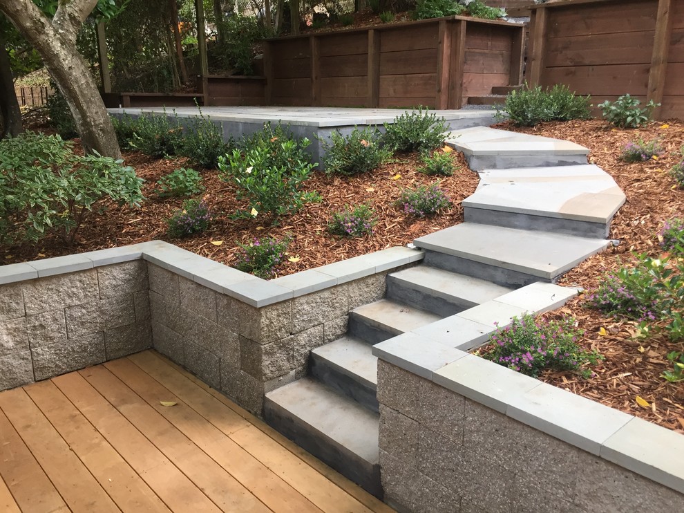 This is an example of a mid-sized contemporary partial sun backyard concrete paver retaining wall landscape in San Francisco for fall.
