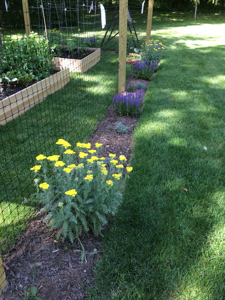 Small rustic side partial sun garden in New York with a vegetable patch.