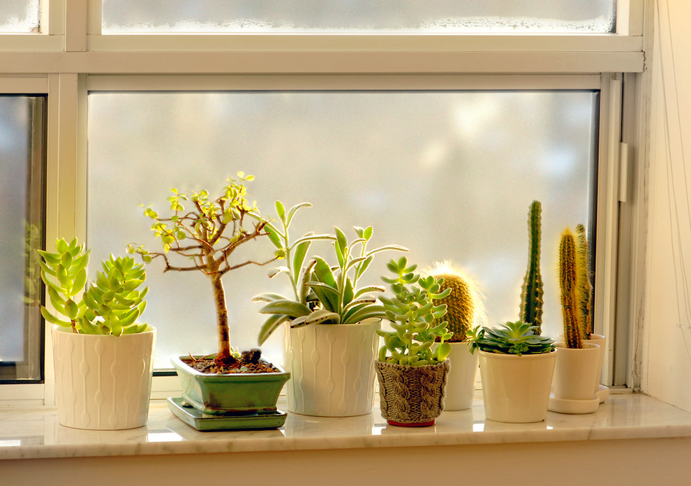 Photo of a bohemian garden.