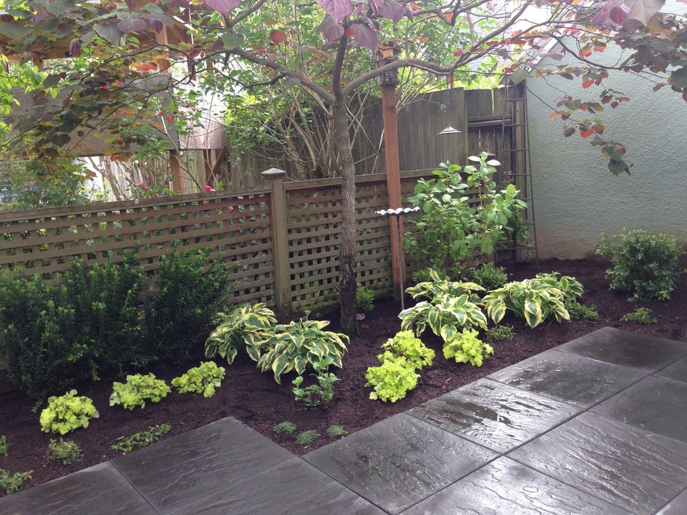 This is an example of a small contemporary garden in Portland.