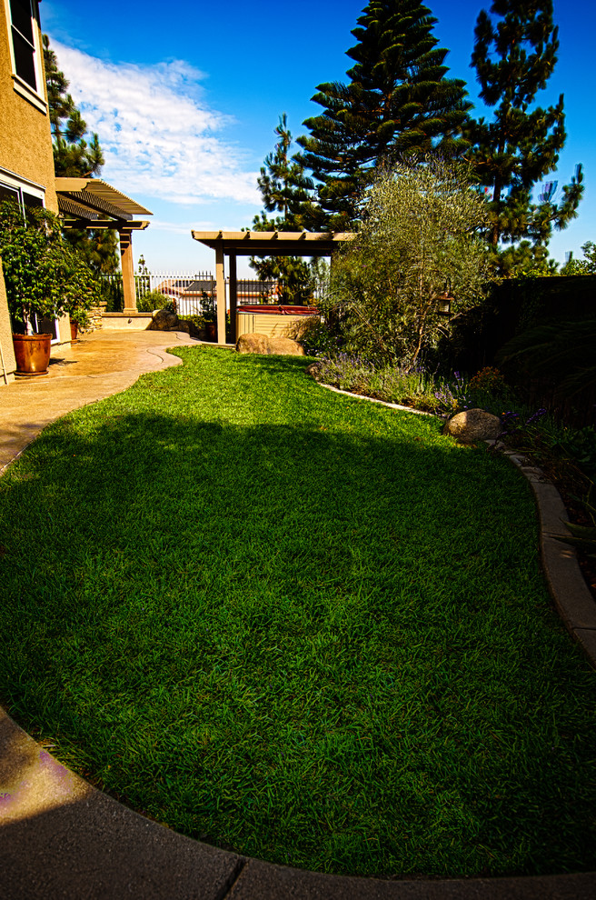 Kleiner, Halbschattiger Mediterraner Garten im Frühling, neben dem Haus mit Rasenkanten, Natursteinplatten und Metallzaun in Orange County