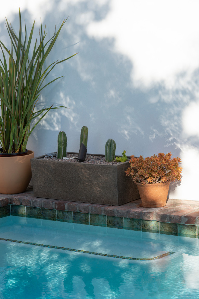 This is an example of a small back swimming pool in Los Angeles.