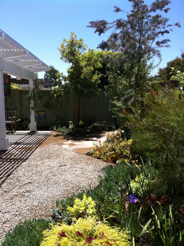 Immagine di un giardino xeriscape contemporaneo esposto a mezz'ombra di medie dimensioni e dietro casa con pavimentazioni in cemento