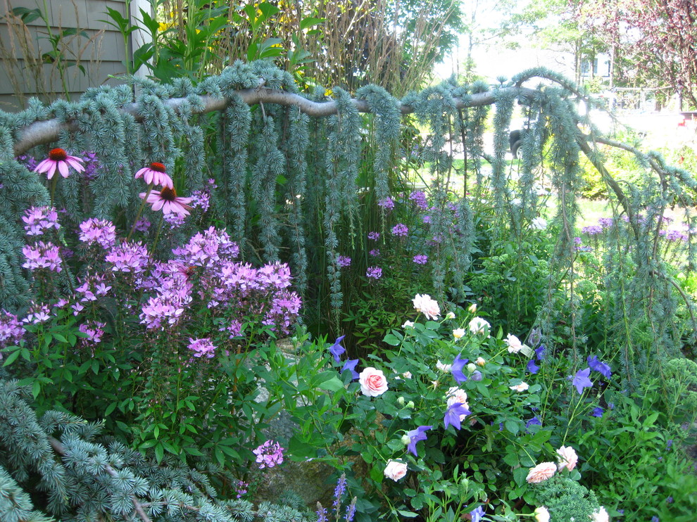 Bild på en mellanstor vintage trädgård