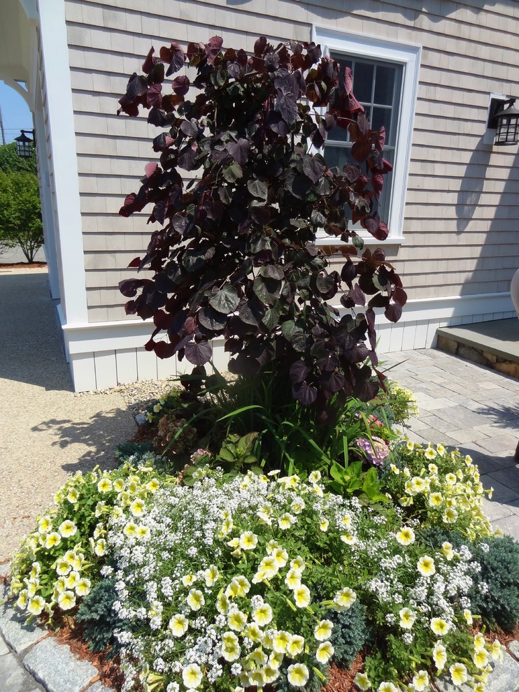 Cette photo montre un petit jardin en pots latéral chic l'été avec une exposition ensoleillée et du gravier.