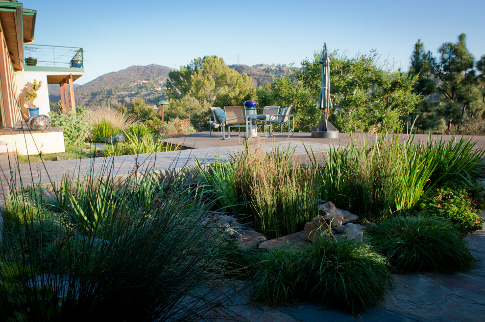 This is an example of an expansive contemporary sloped xeriscape full sun garden for winter in Los Angeles with a pond and decking.