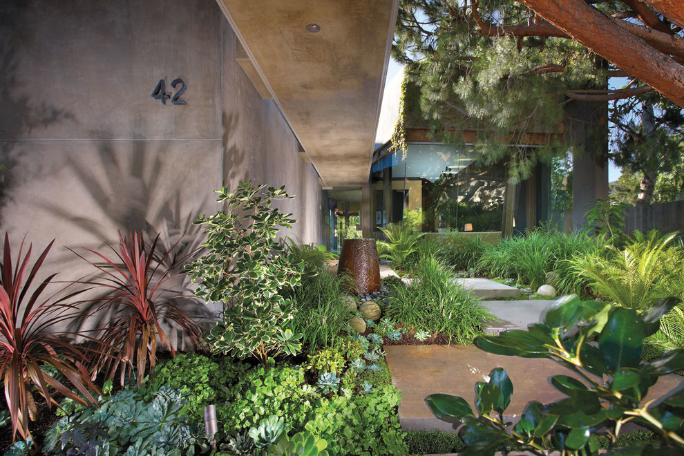 Design ideas for a contemporary back garden in Orange County.
