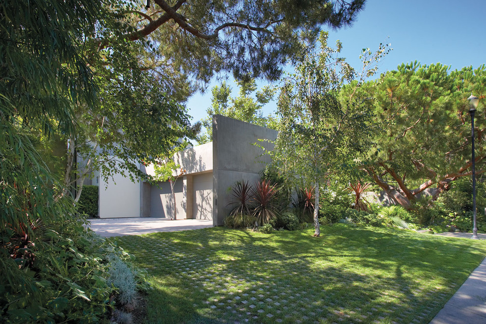 Photo of a contemporary side yard landscaping in Orange County.