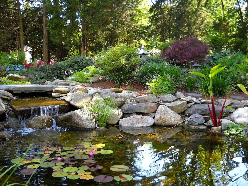 Inspiration pour un jardin à la française arrière asiatique de taille moyenne et l'été avec un point d'eau, une exposition ombragée et des pavés en pierre naturelle.
