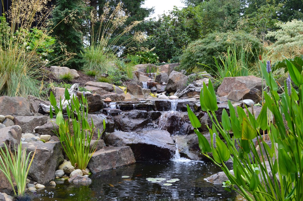 Foto di un laghetto da giardino stile americano con un pendio, una collina o una riva