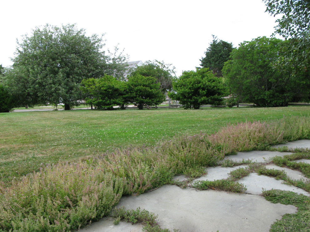 Immagine di un giardino country esposto in pieno sole nel cortile laterale in estate con pavimentazioni in pietra naturale