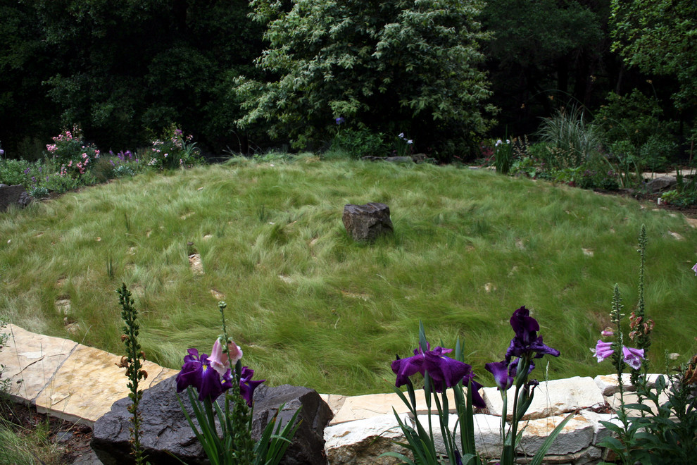 Exemple d'un jardin arrière tendance de taille moyenne.