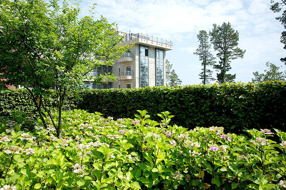 Cette image montre un grand jardin arrière design l'été avec une exposition ensoleillée.