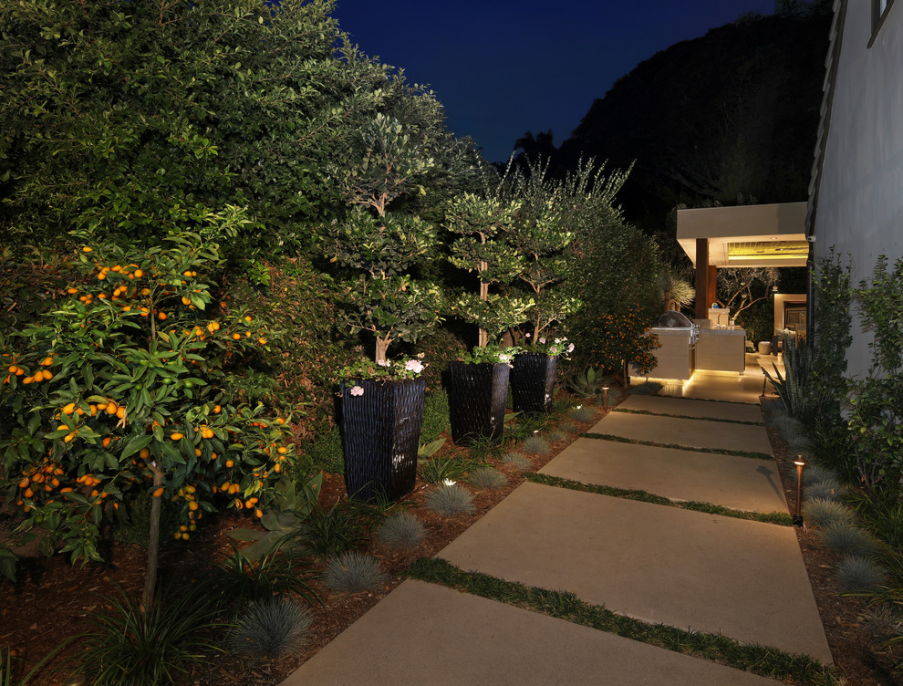 Kleiner, Halbschattiger Moderner Garten neben dem Haus mit Natursteinplatten in Orange County