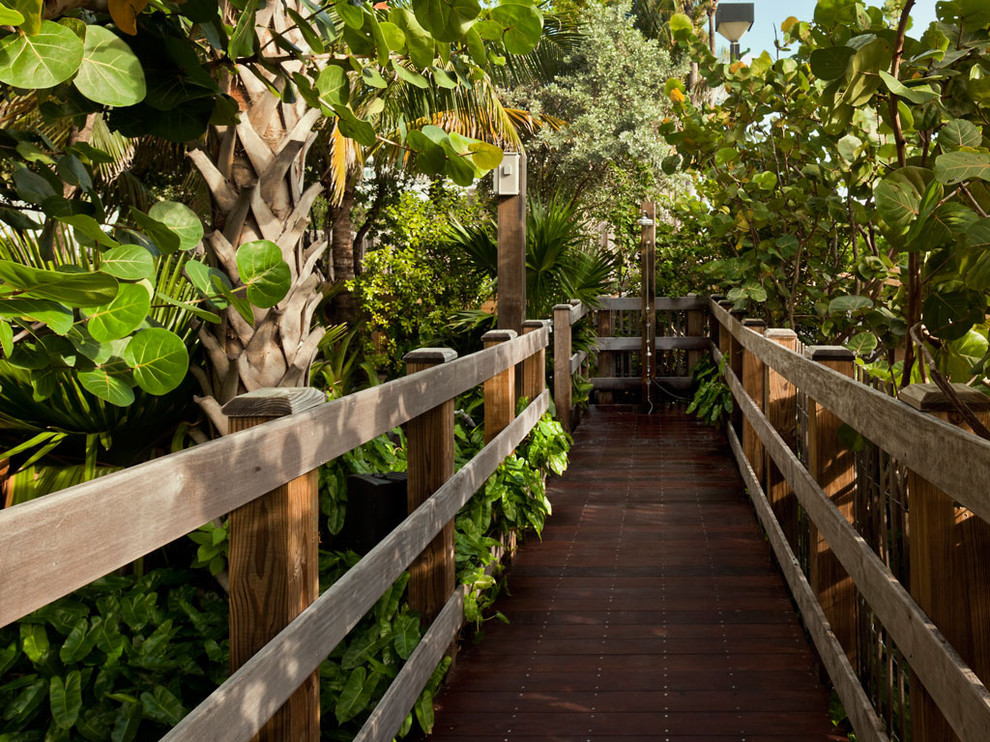 マイアミにあるトロピカルスタイルのおしゃれな裏庭 (デッキ材舗装) の写真