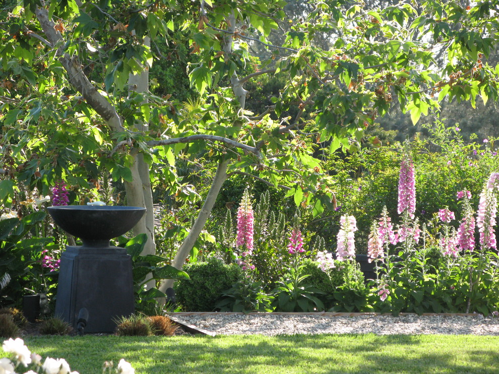 Modelo de jardín mediterráneo en patio trasero con exposición parcial al sol y gravilla