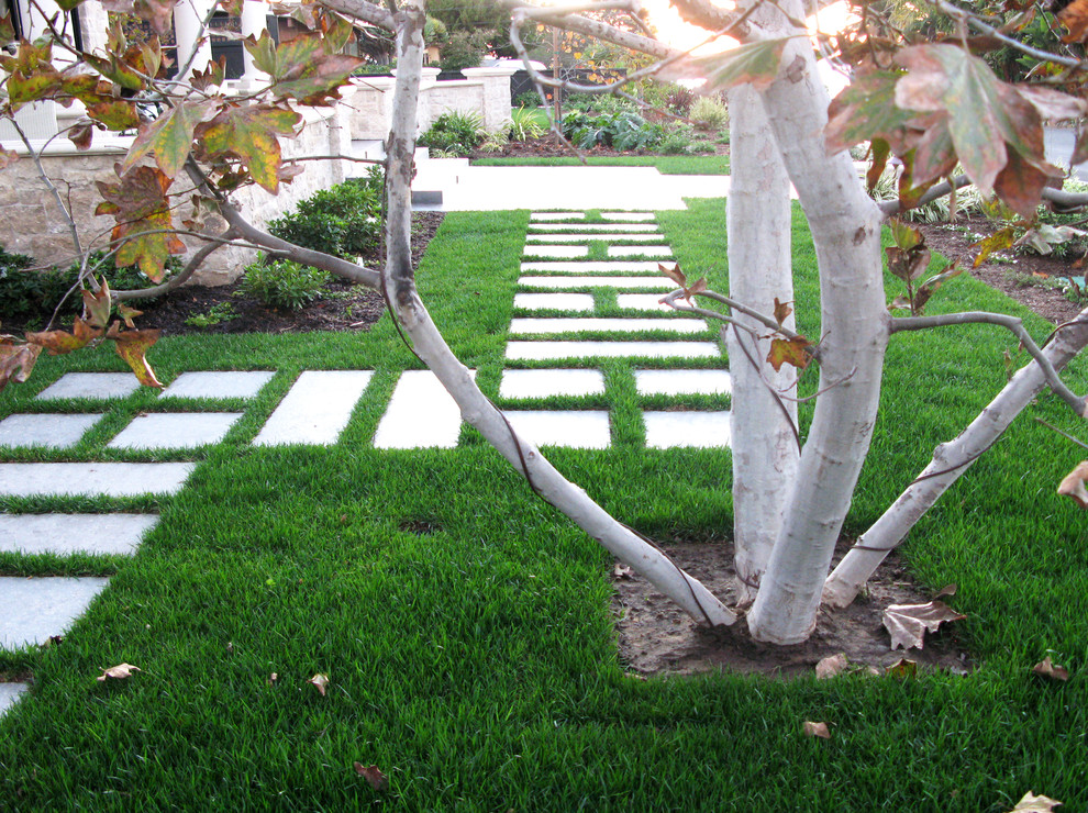 Design ideas for a modern front yard landscaping in San Diego.