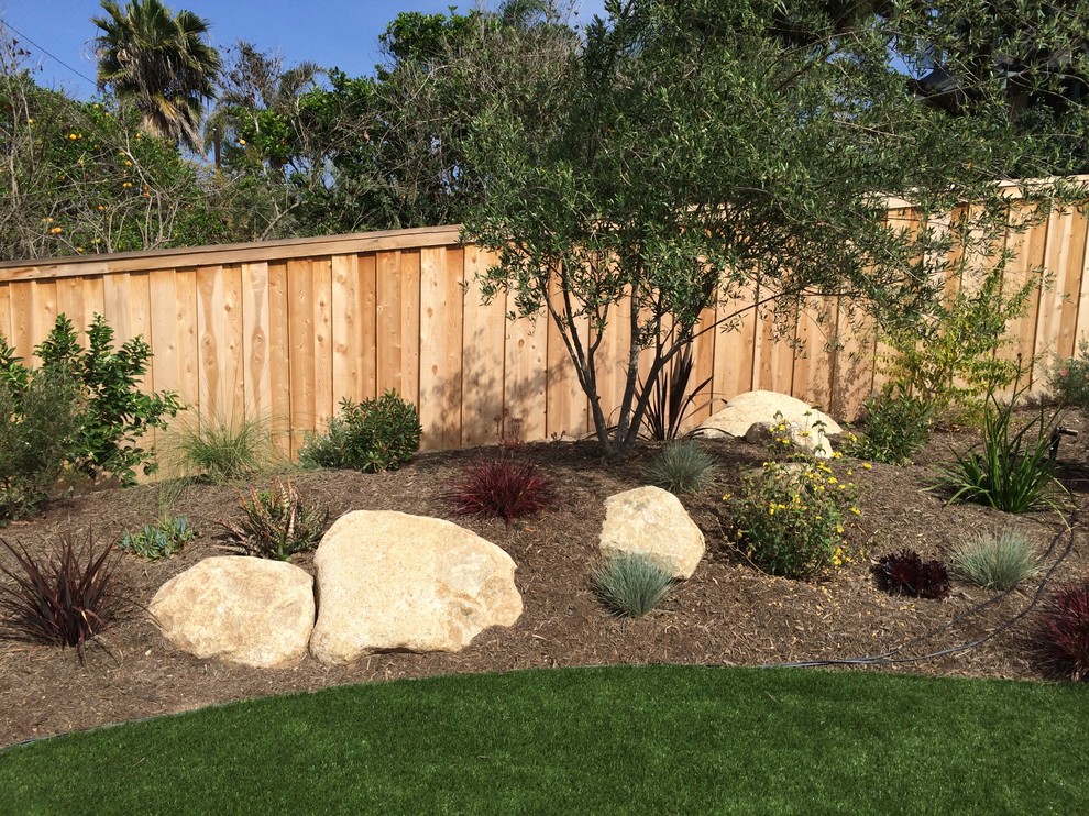 Inspiration for a drought-tolerant backyard landscaping in San Diego.