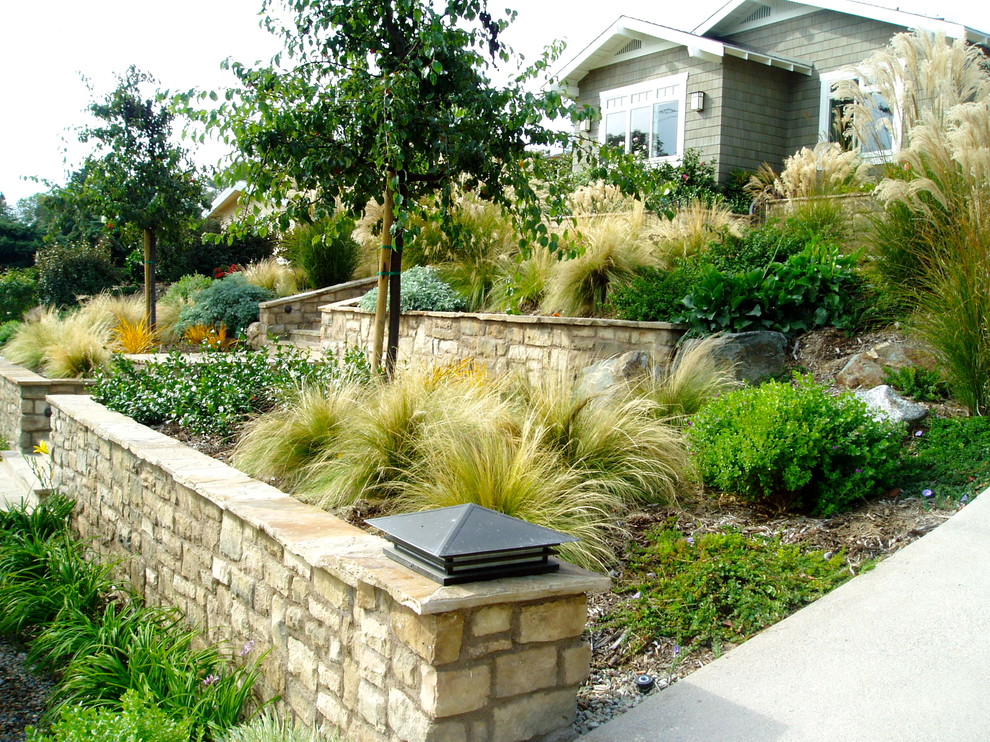 Ispirazione per un giardino stile americano esposto in pieno sole davanti casa con pavimentazioni in cemento