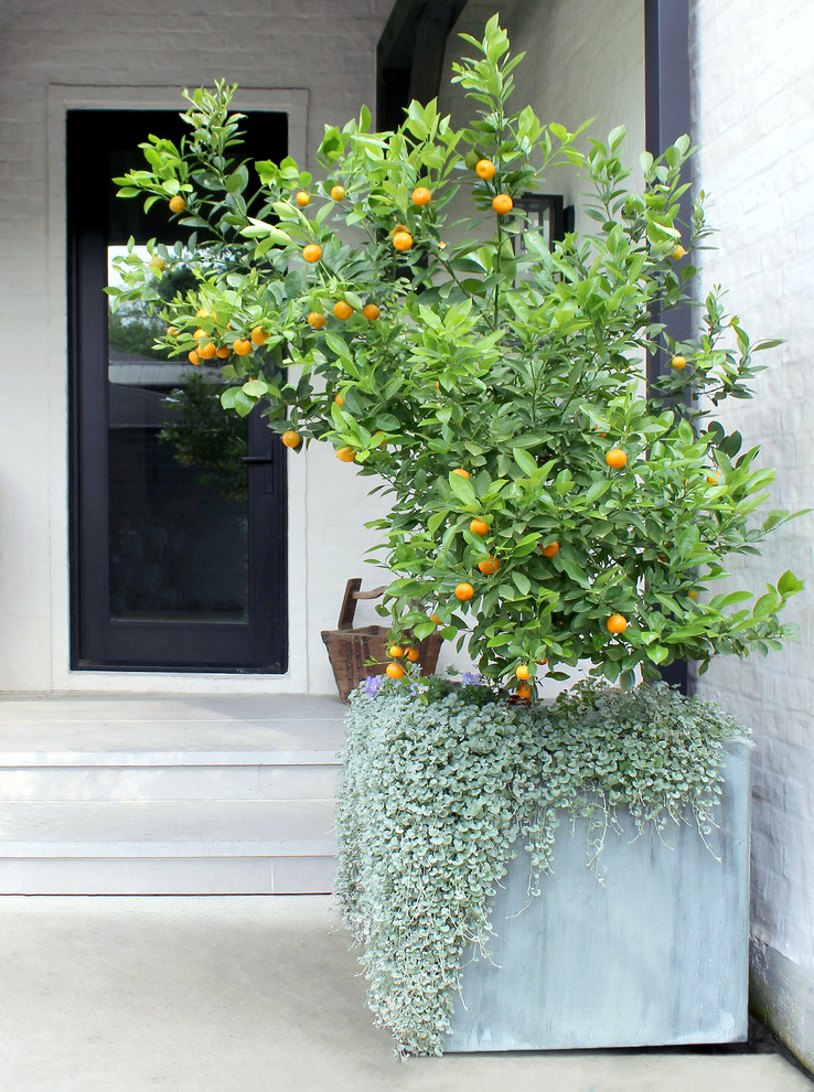 Inspiration for a contemporary landscaping in Houston.