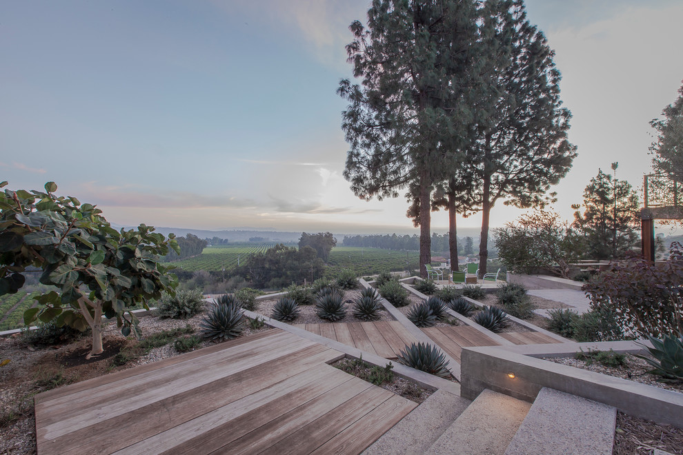 This is an example of a contemporary hillside landscaping in Santa Barbara.