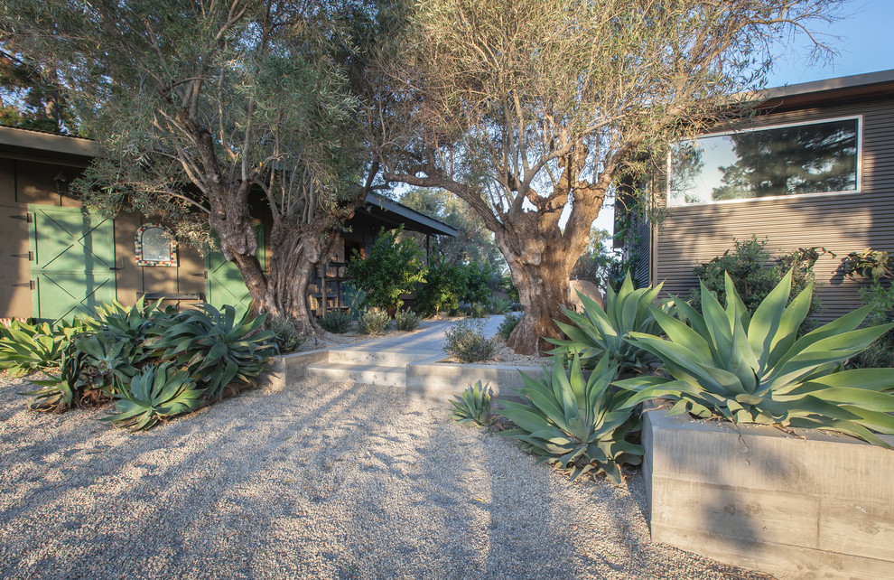 This is an example of a medium sized contemporary front xeriscape garden in Los Angeles with natural stone paving.