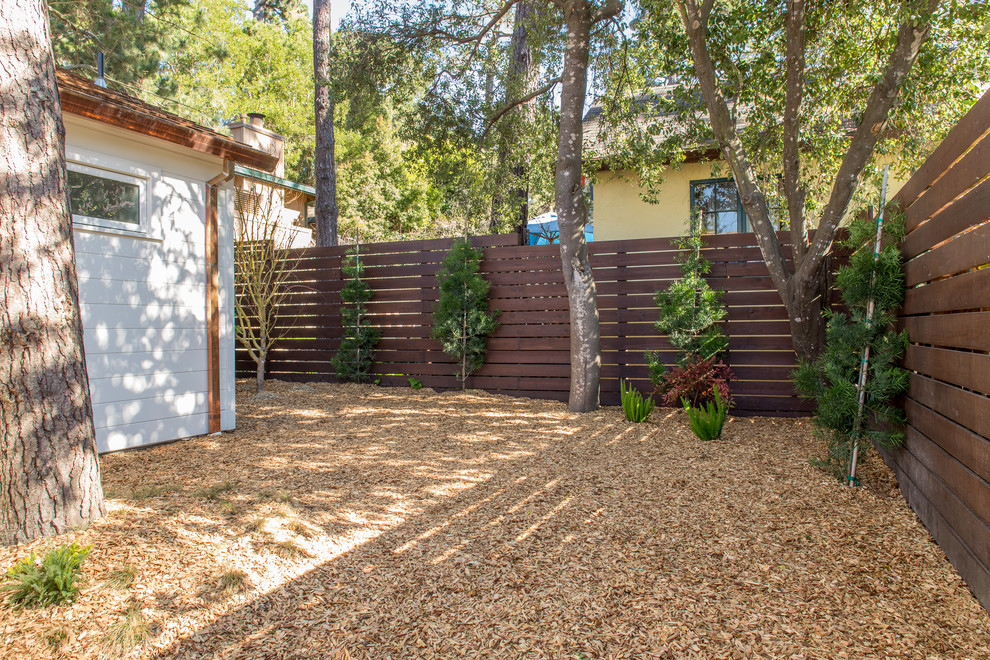 Cette image montre un petit jardin arrière minimaliste l'automne avec une exposition partiellement ombragée et un paillis.