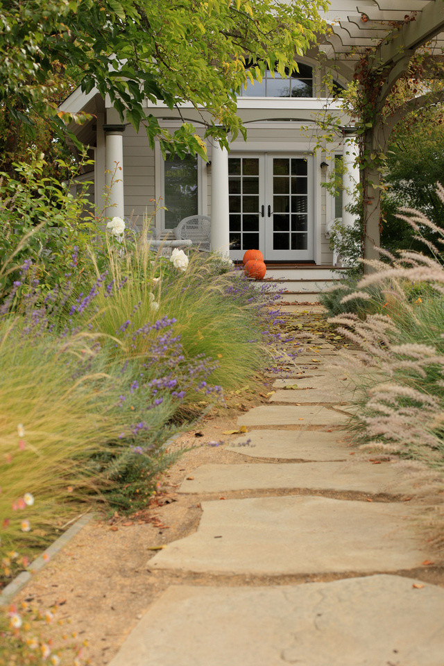 Photo of a large contemporary shade front yard gravel landscaping in San Francisco for spring.
