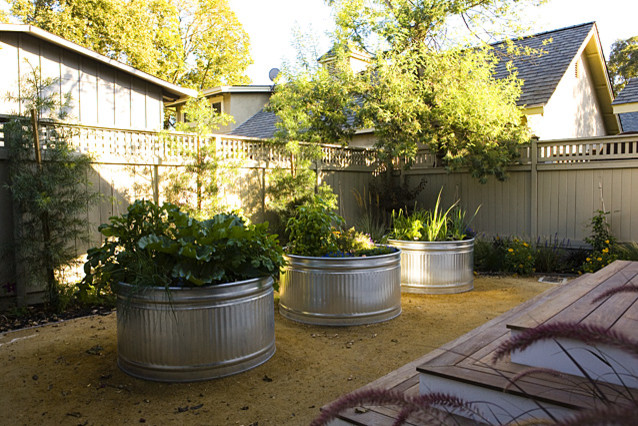 Immagine di un grande giardino minimal esposto a mezz'ombra davanti casa in estate con un giardino in vaso e ghiaia