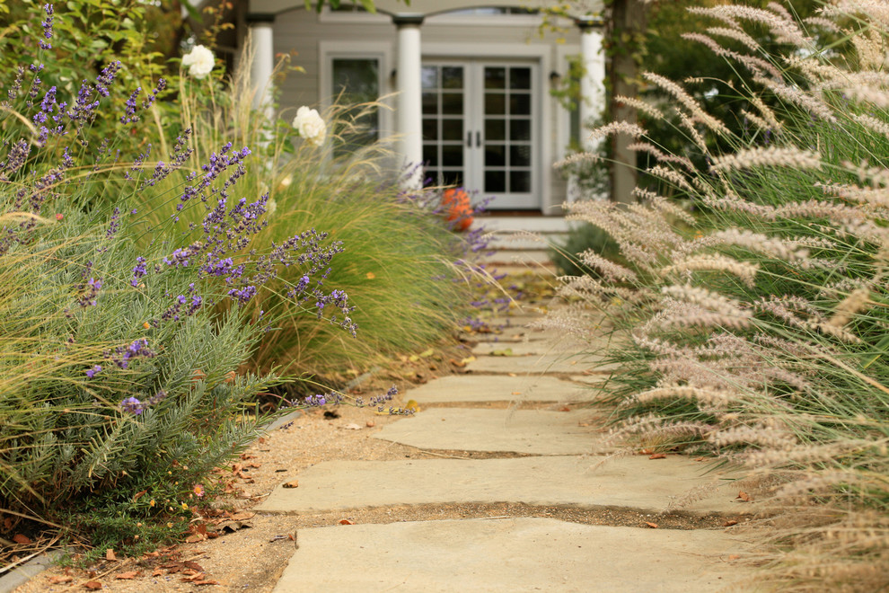 Inspiration for a large contemporary partial sun front yard gravel landscaping in San Francisco for spring.