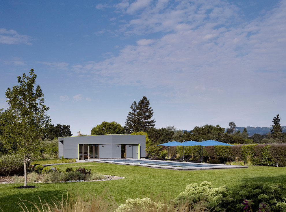 Idee per un ampio giardino formale moderno esposto in pieno sole dietro casa in estate con pavimentazioni in pietra naturale