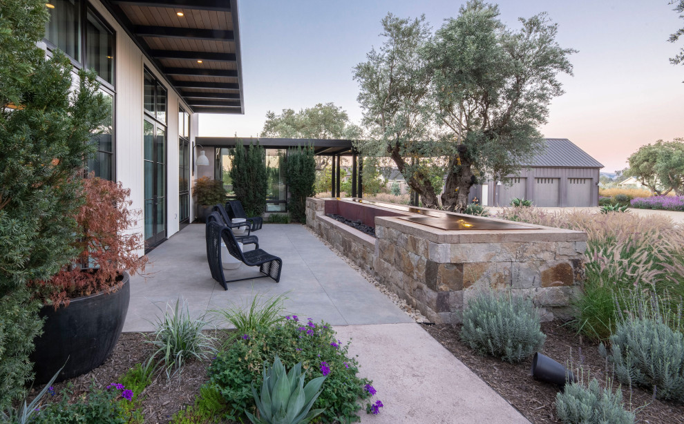 Ejemplo de jardín de secano minimalista grande en patio delantero con brasero, exposición parcial al sol y adoquines de hormigón