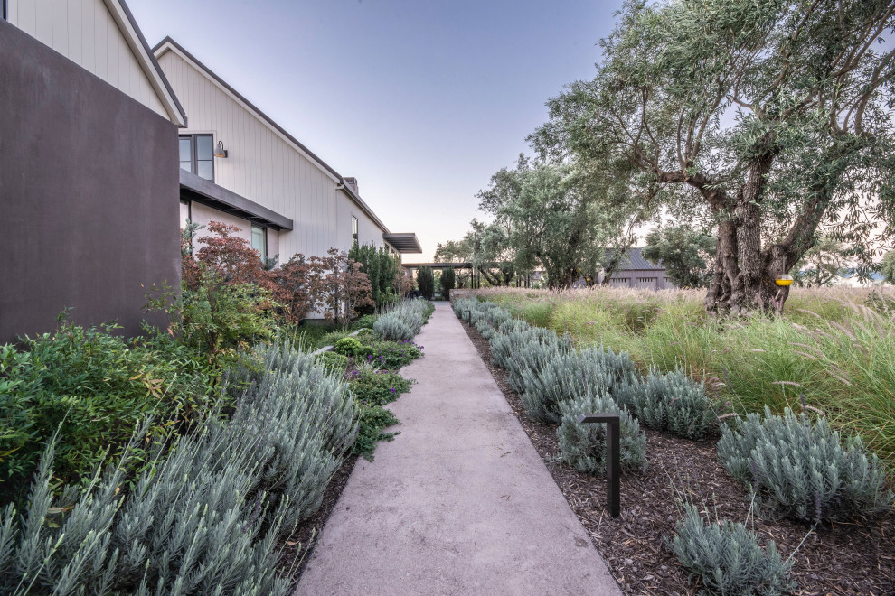 Photo of a large farmhouse drought-tolerant and partial sun front yard concrete paver garden path in San Francisco.