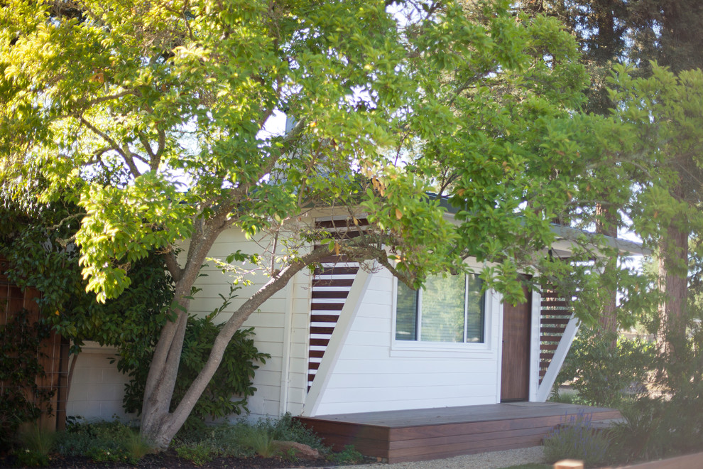 サンフランシスコにあるトランジショナルスタイルのおしゃれな庭の写真