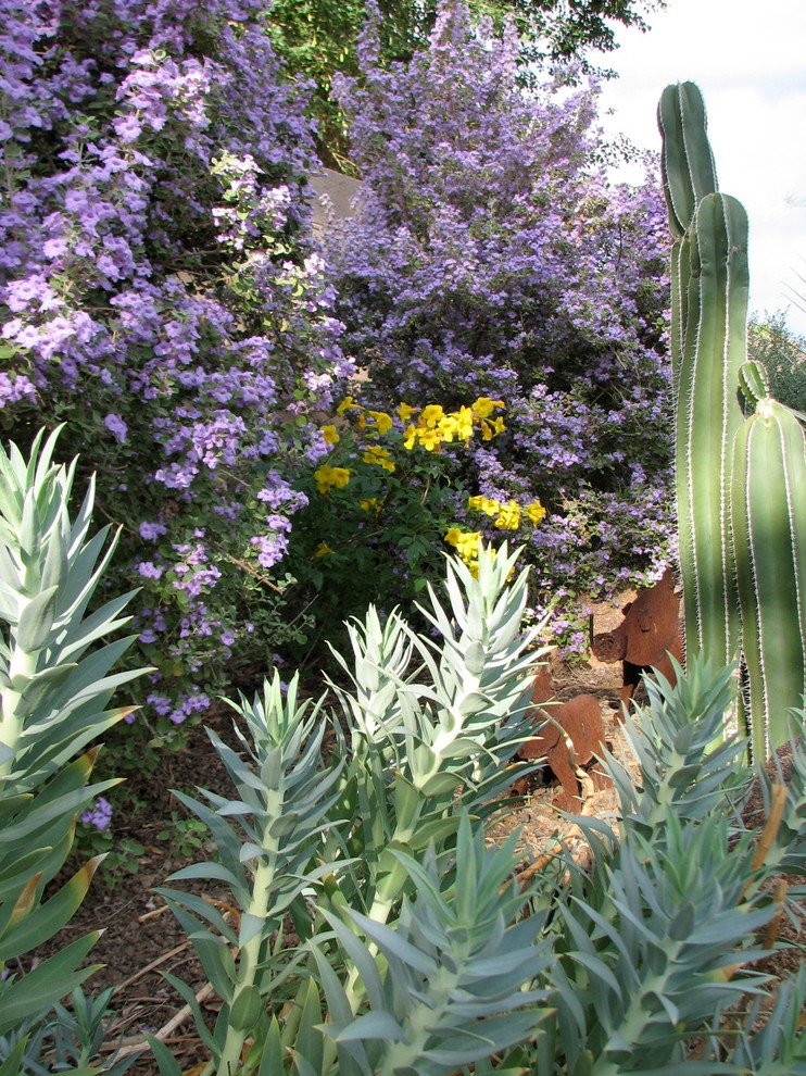 Inspiration for a contemporary landscaping in Phoenix.