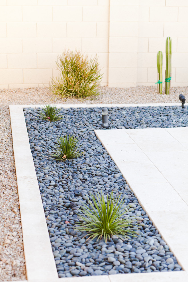 Sophisticated Desertscape - Gilbert - Southwestern - Landscape