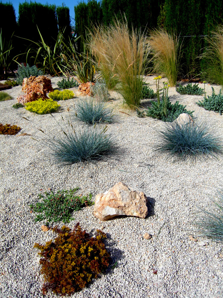 Immagine di un giardino xeriscape mediterraneo