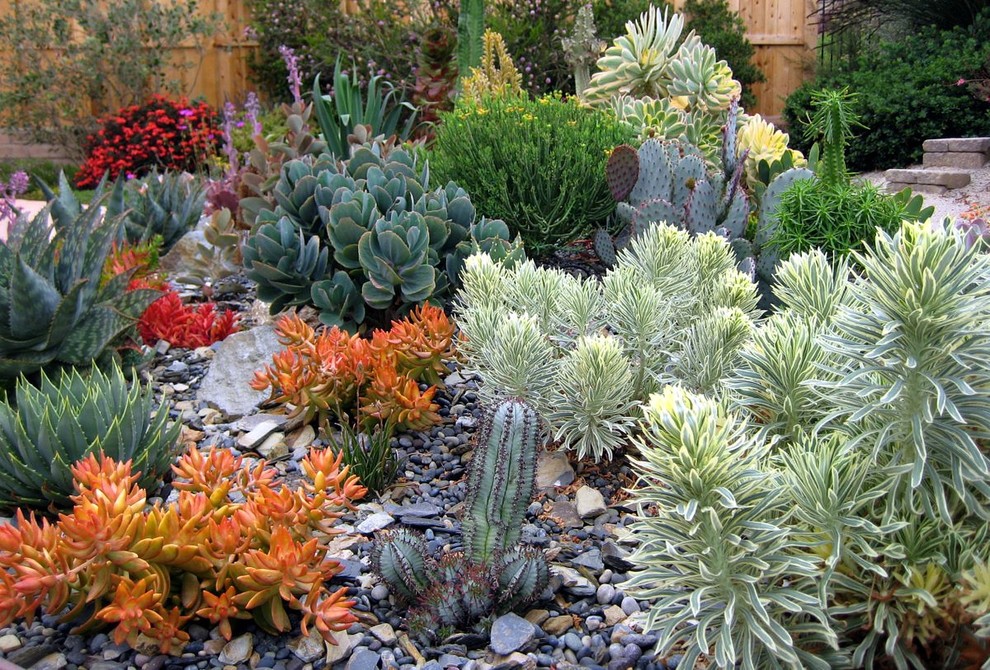 Стильный дизайн: солнечный засухоустойчивый сад на заднем дворе в современном стиле с хорошей освещенностью - последний тренд