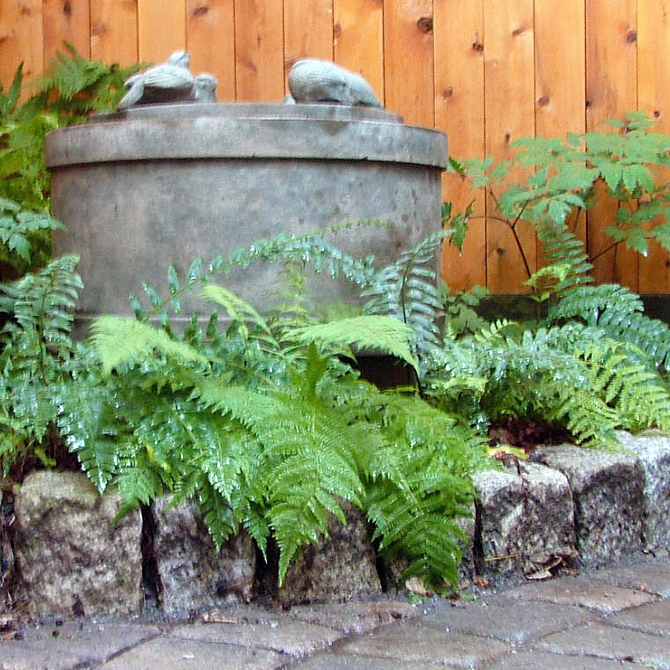 Inspiration for a small modern shade backyard concrete paver water fountain landscape in Boston.