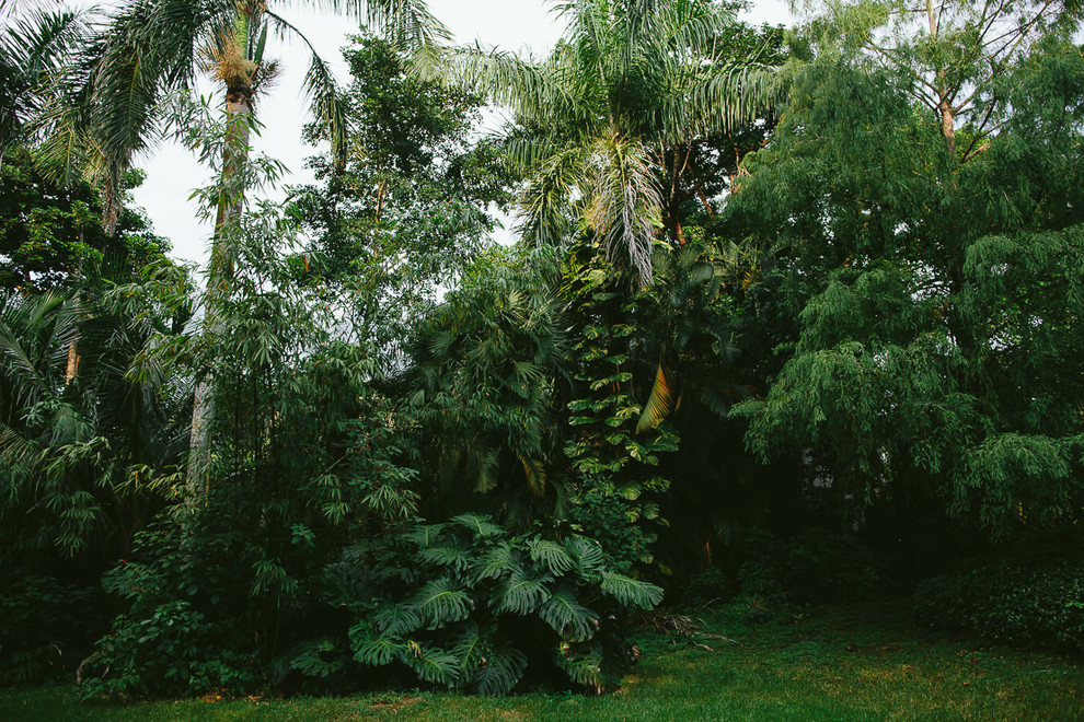 Idee per un grande giardino formale tropicale esposto a mezz'ombra dietro casa in estate con un ingresso o sentiero e pavimentazioni in pietra naturale