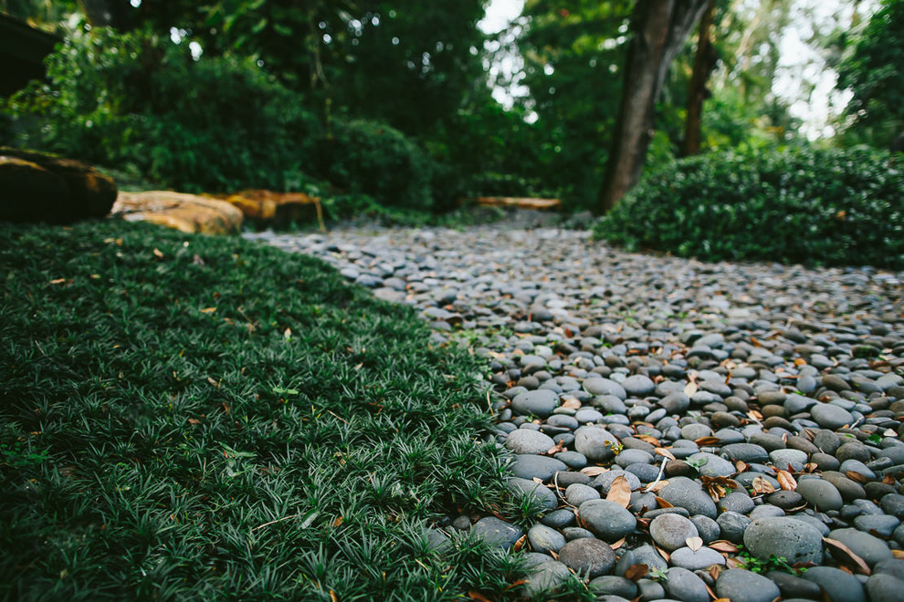 Immagine di un grande giardino formale tropicale esposto a mezz'ombra dietro casa in estate con un ingresso o sentiero e pavimentazioni in pietra naturale