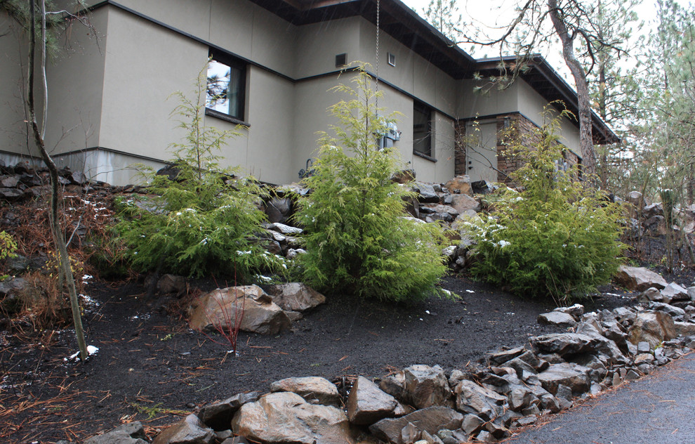 Kleine, Halbschattige Moderne Gartenmauer neben dem Haus mit Mulch in Seattle