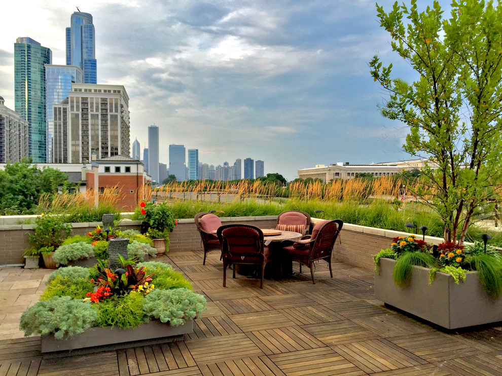 This is an example of a mid-sized contemporary landscaping in Chicago.