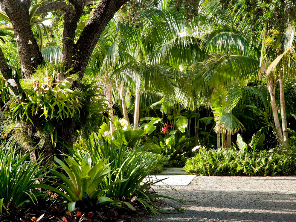 South Miami Garden Tropical Landscape Miami by Raymond Jungles