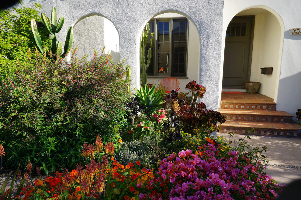 Esempio di un piccolo giardino mediterraneo esposto in pieno sole davanti casa