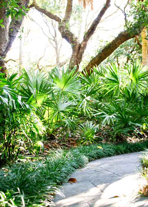 Inspiration for a coastal landscaping in Jacksonville.