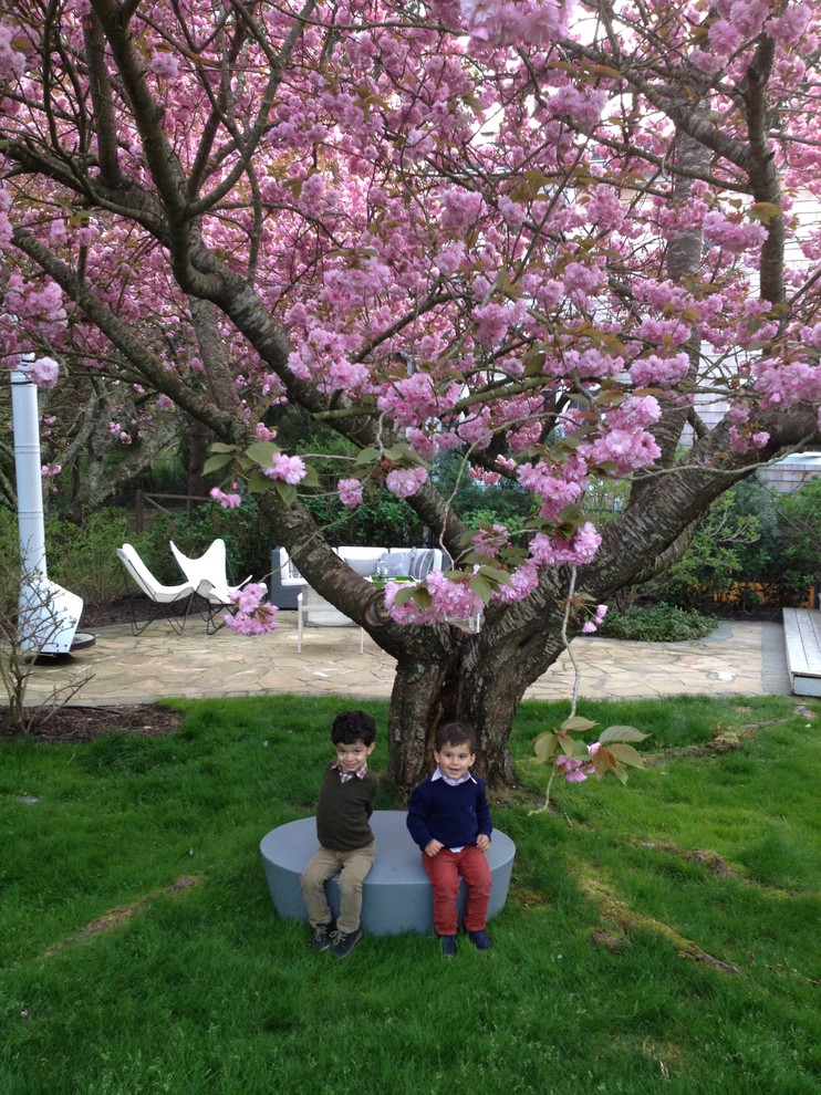 Klassischer Garten im Frühling, hinter dem Haus in New York