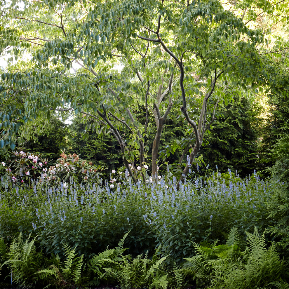 Exemple d'un grand jardin à la française avant tendance avec une exposition ensoleillée et du gravier.
